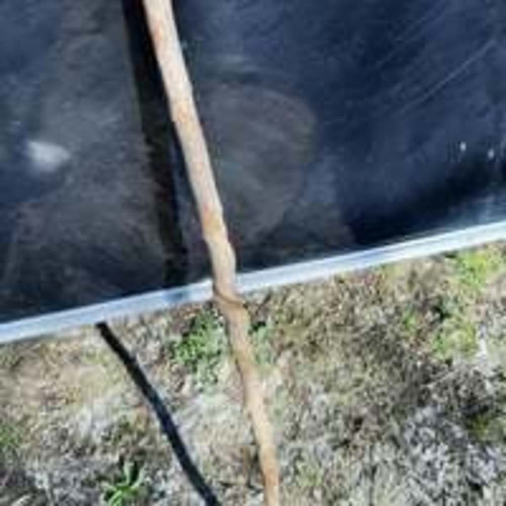 Handmade love walking stick